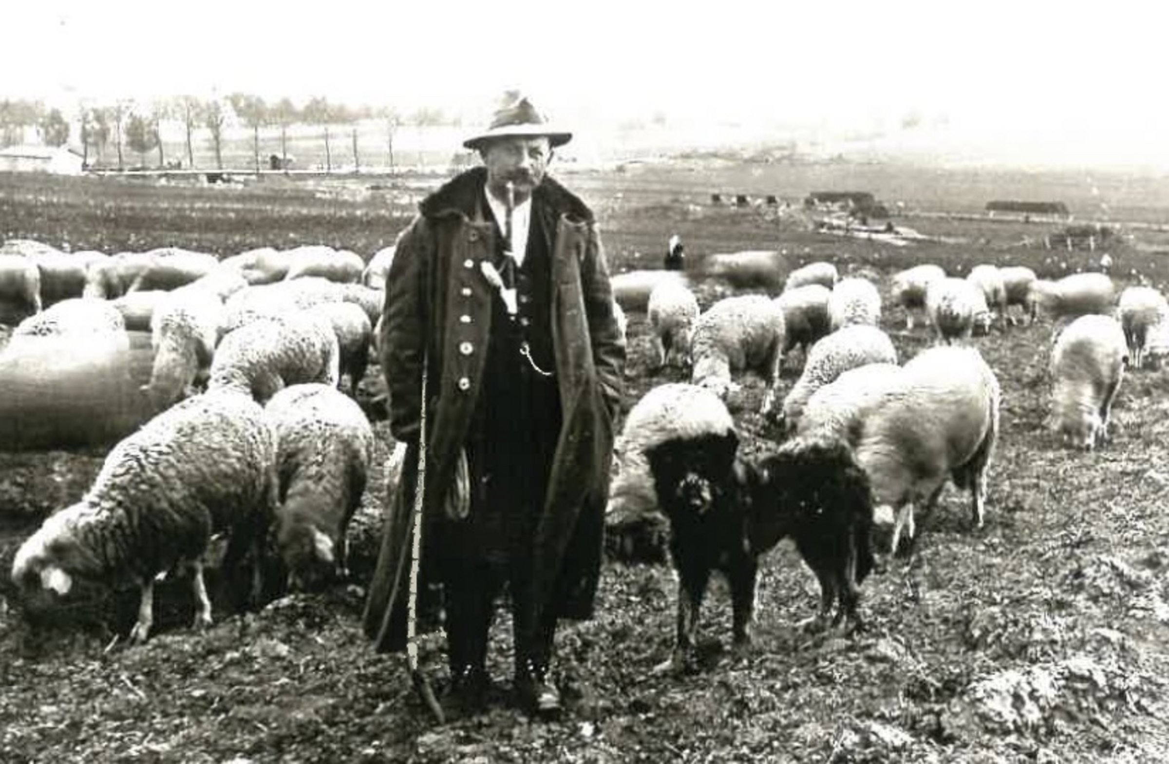 Nikolaus König - der letzte Schäfer von Nordhausen