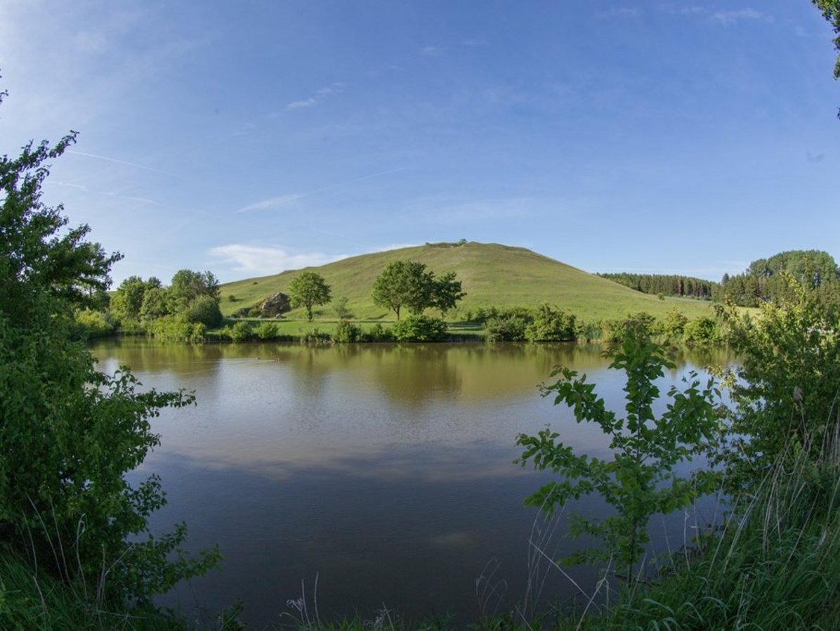 Heimischbergweiher Zipplingen